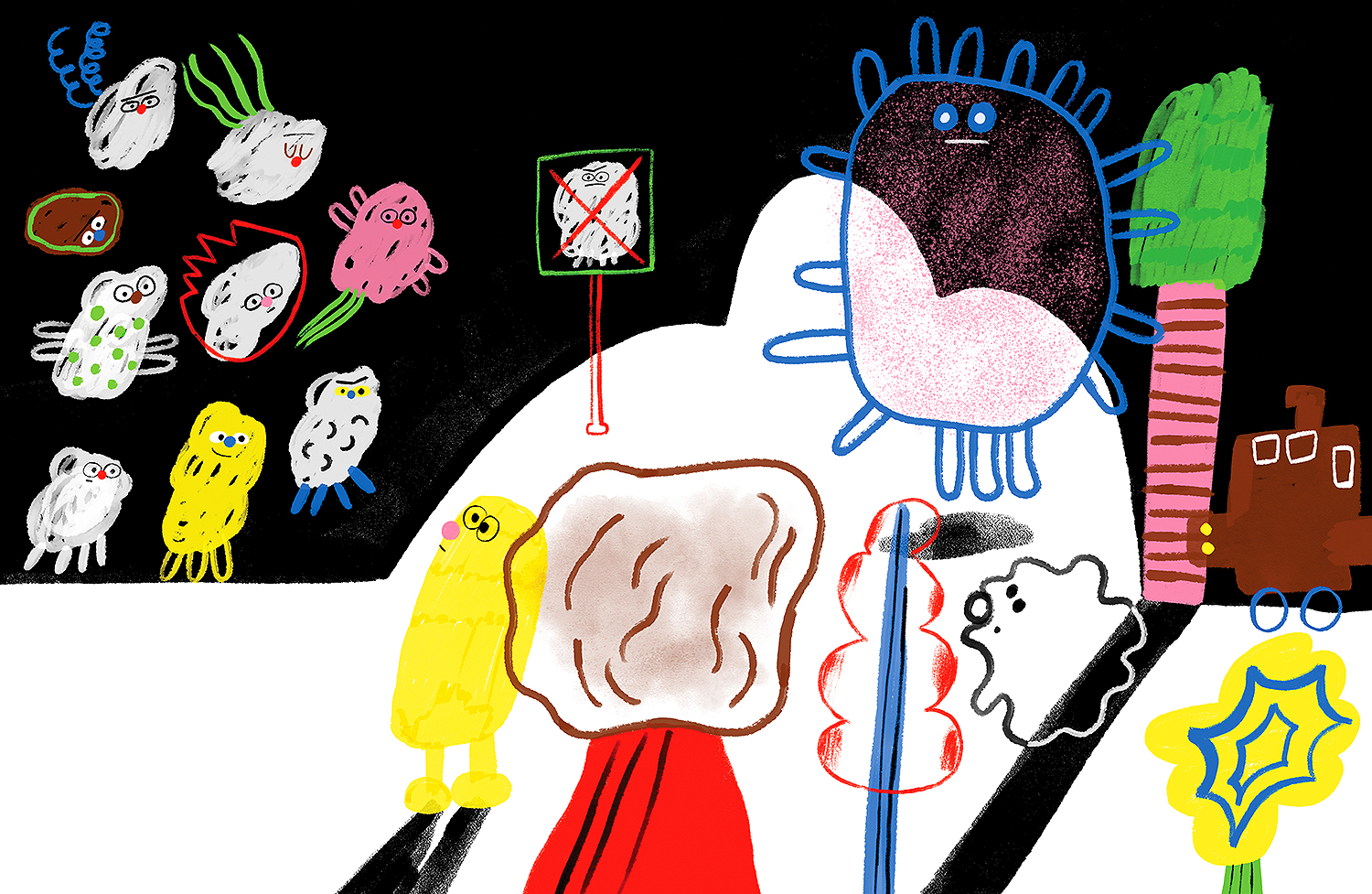 big aquisição Catarina Sobral